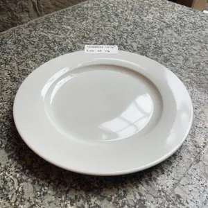 Lot of 12 - White Circular Dining Plates 10.5" Diameter