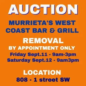 PLEASE READ THIS INFORMATION BEFORE BIDDING
