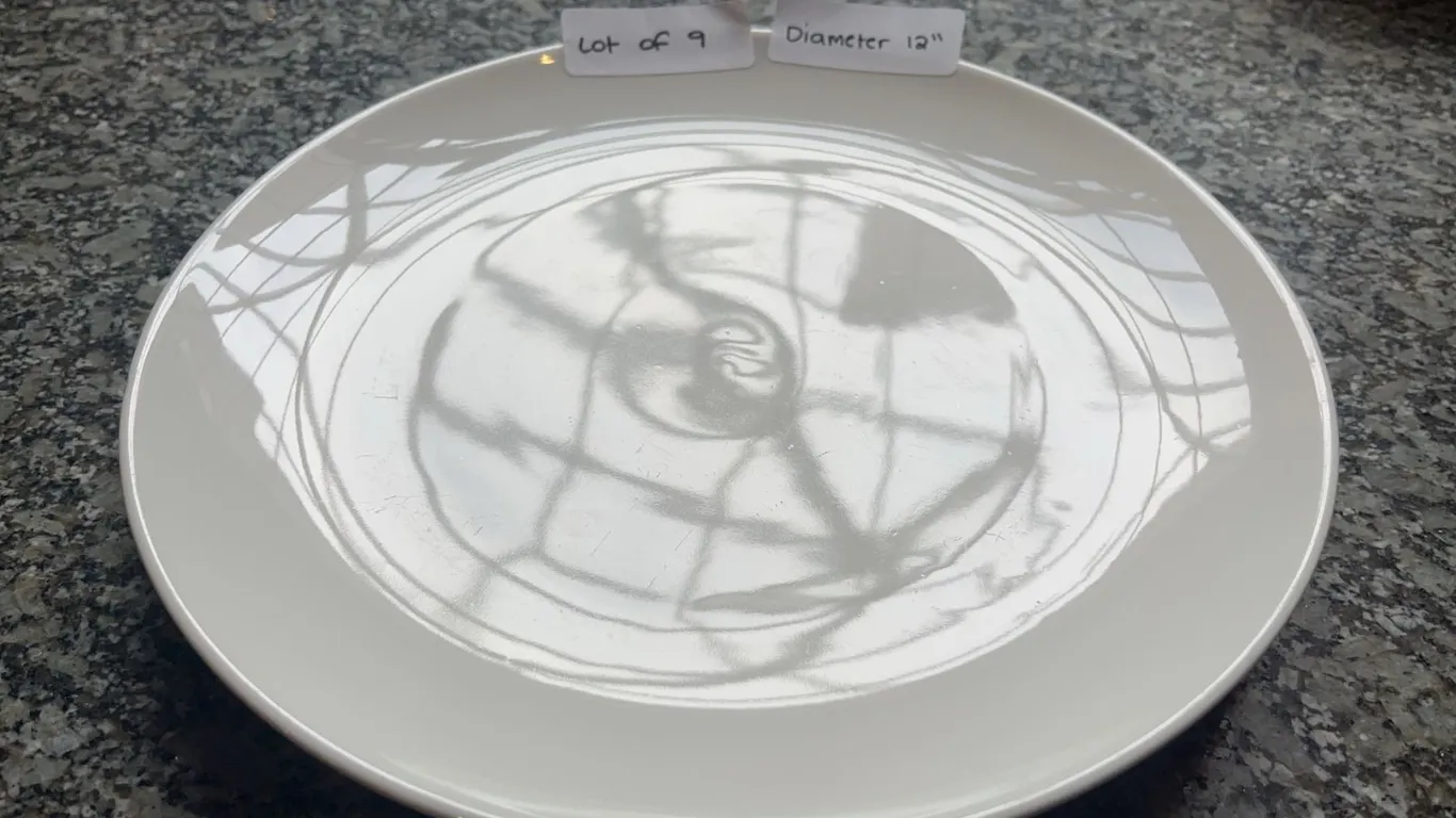 Lot of 9 - White Circular Dining Plates, 12†Diameter