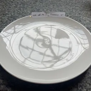 Lot of 9 - White Circular Dining Plates, 12â€ Diameter