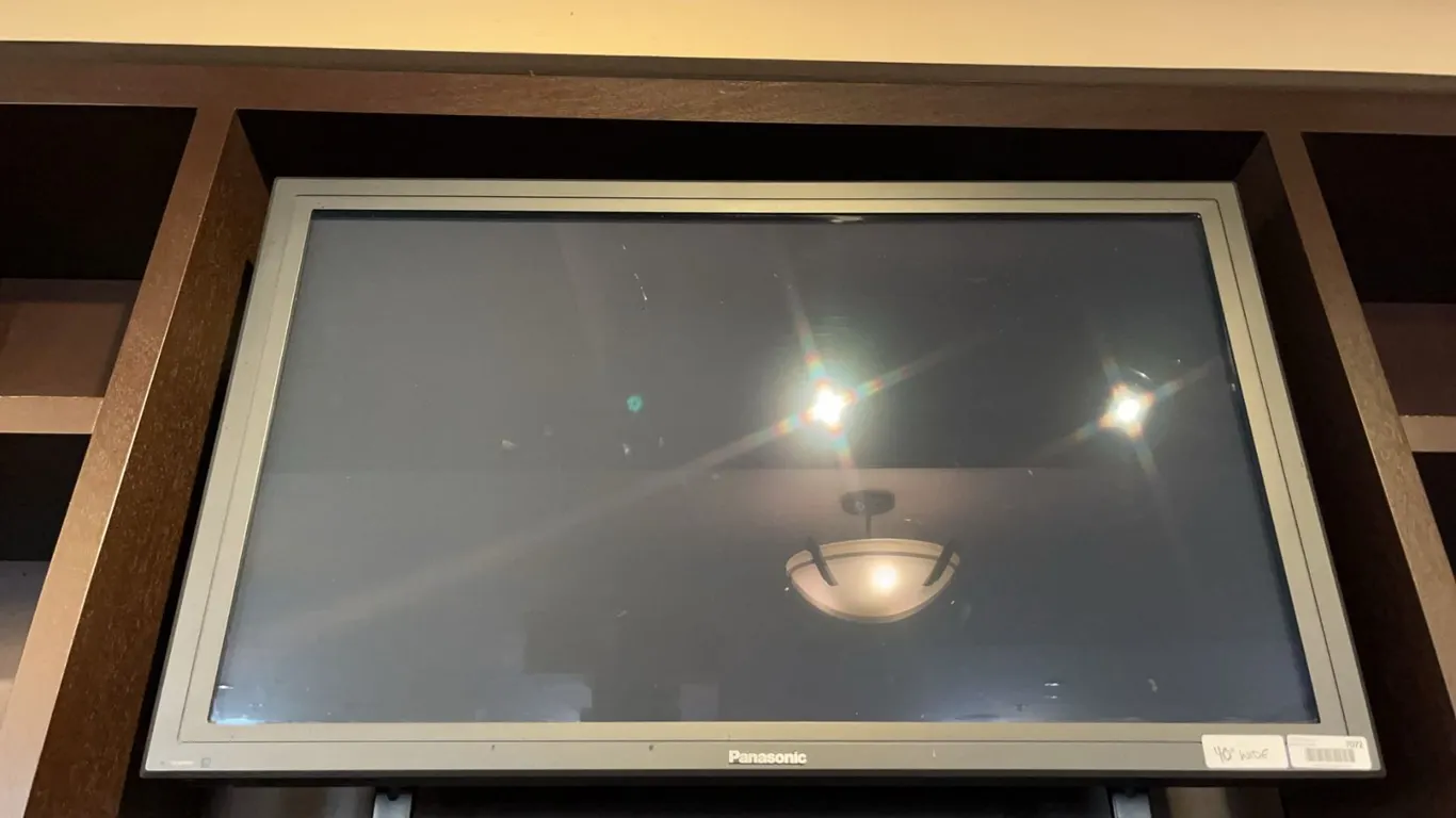 Panasonic 40-Inch Flat Screen Television