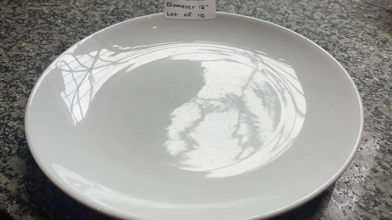 Lot of 10 - White Circular Dining Plates, 12" Diameter