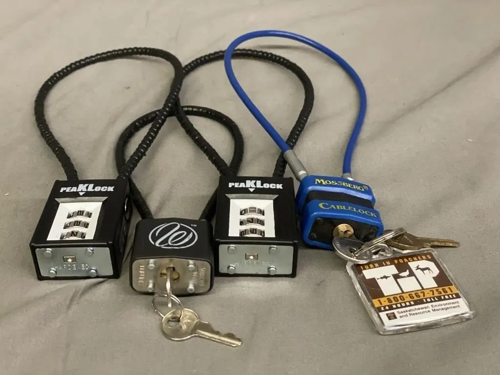 Four cable locks. Keyed and combination styles.
