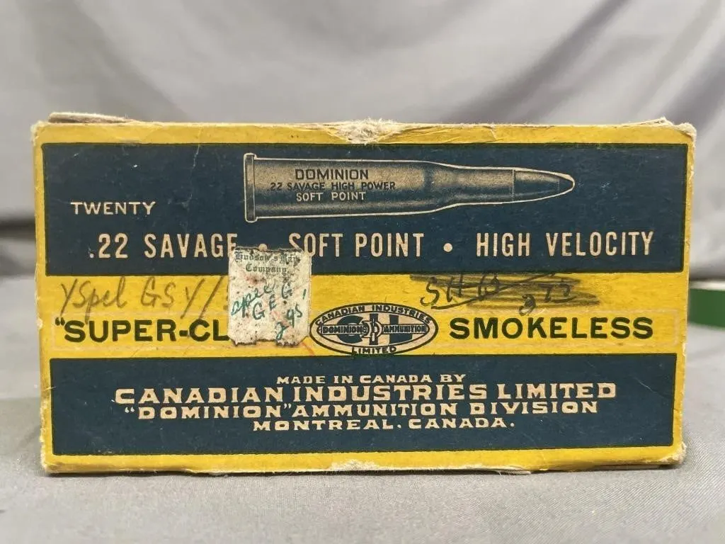 Box of 20 Dominion .22 SAV CF rifle cartridges.