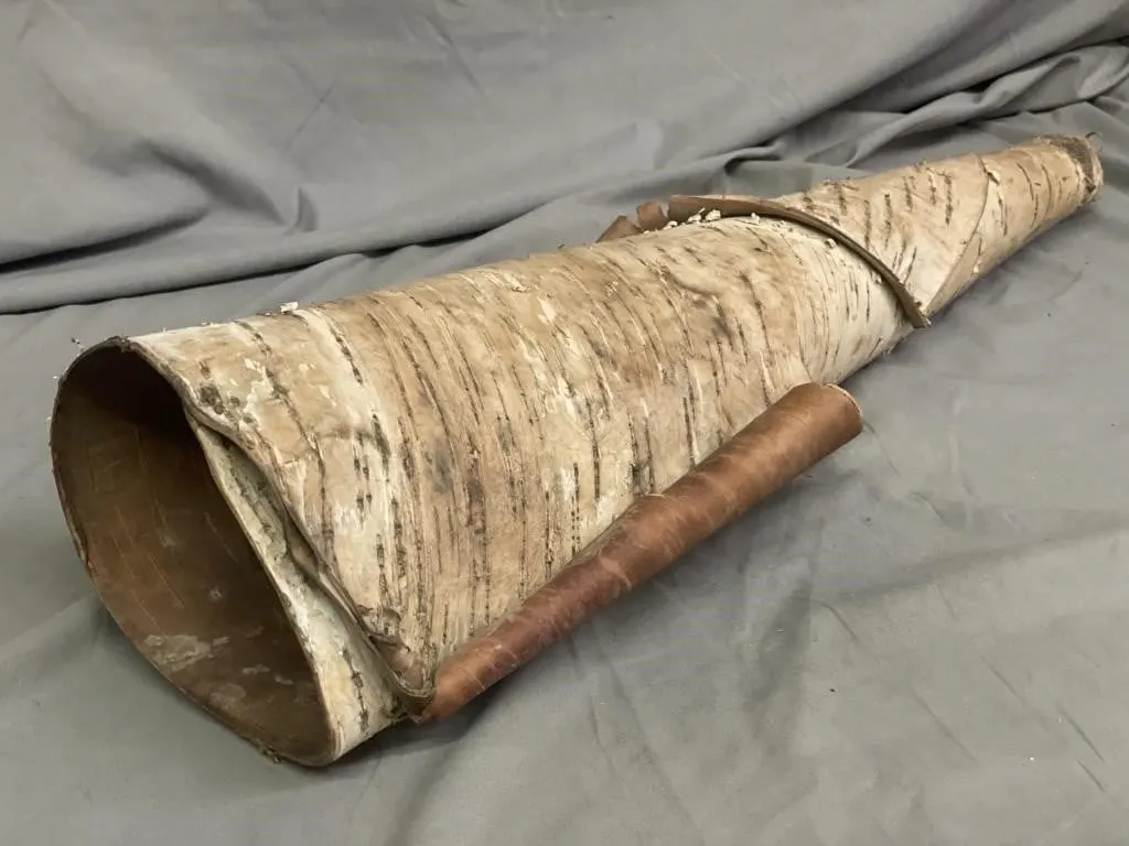 Homemade birch bark moose call. Approx. 26 inches