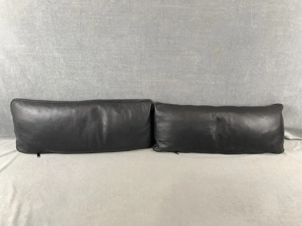 2 Leather Couch Pillows