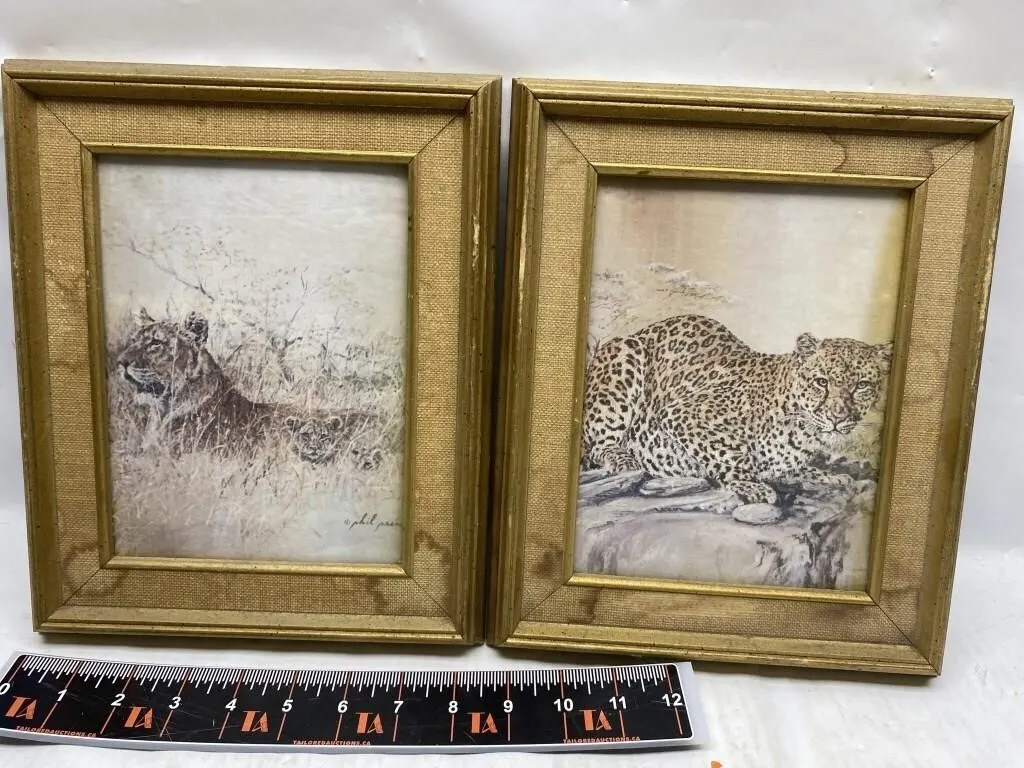 Pair of Framed Leopard Prints, Gold Frames