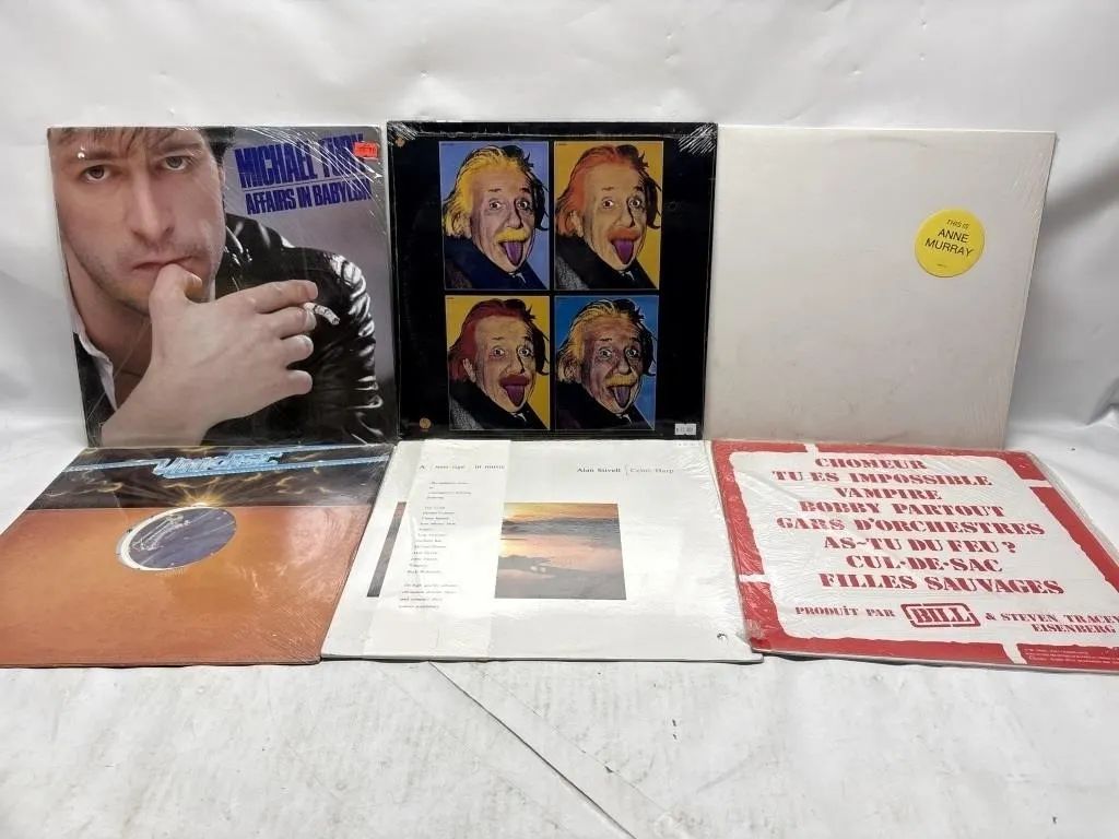 Vinyl LP Record Lot: Rock, Pop & More