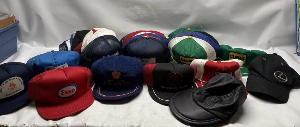 Vintage Trucker/Snapback Hat Collection, Assorted