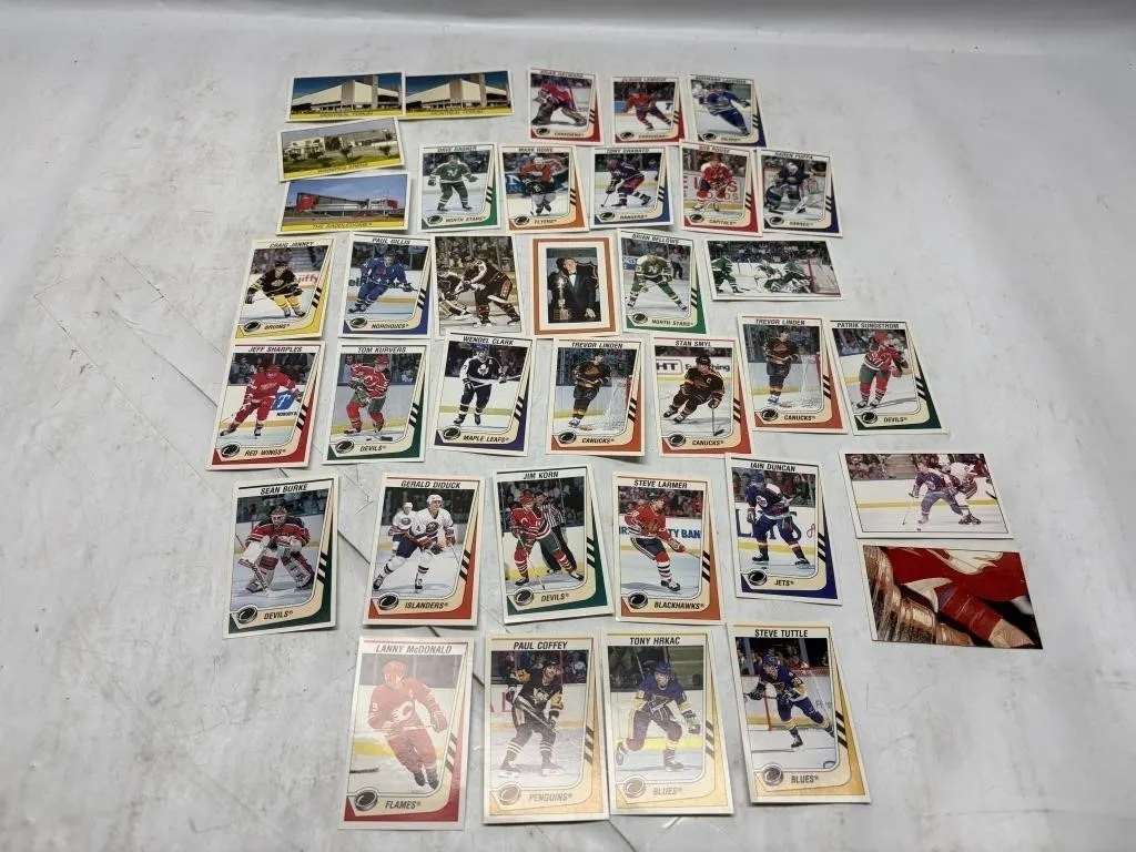 1990-91 O-Pee-Chee Hockey Card Lot (30+ cards)
