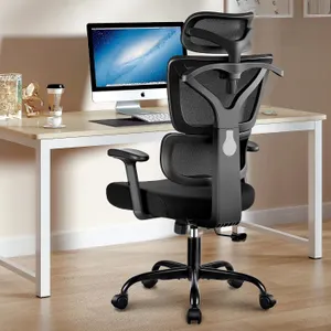 New $214 Ergonomic Office Chair with Lumbar
