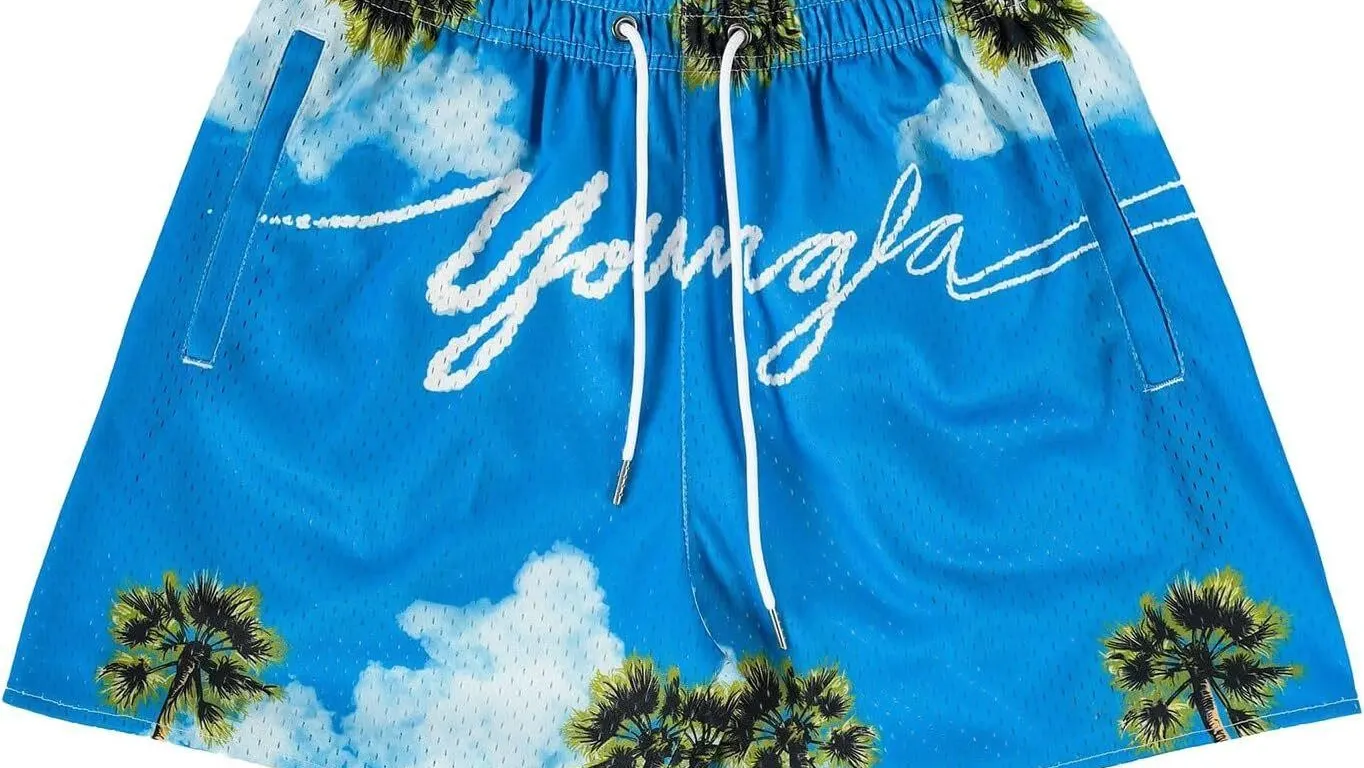 NEW $33 (XS) BOOMLEMON Mens Mesh Graphic Print