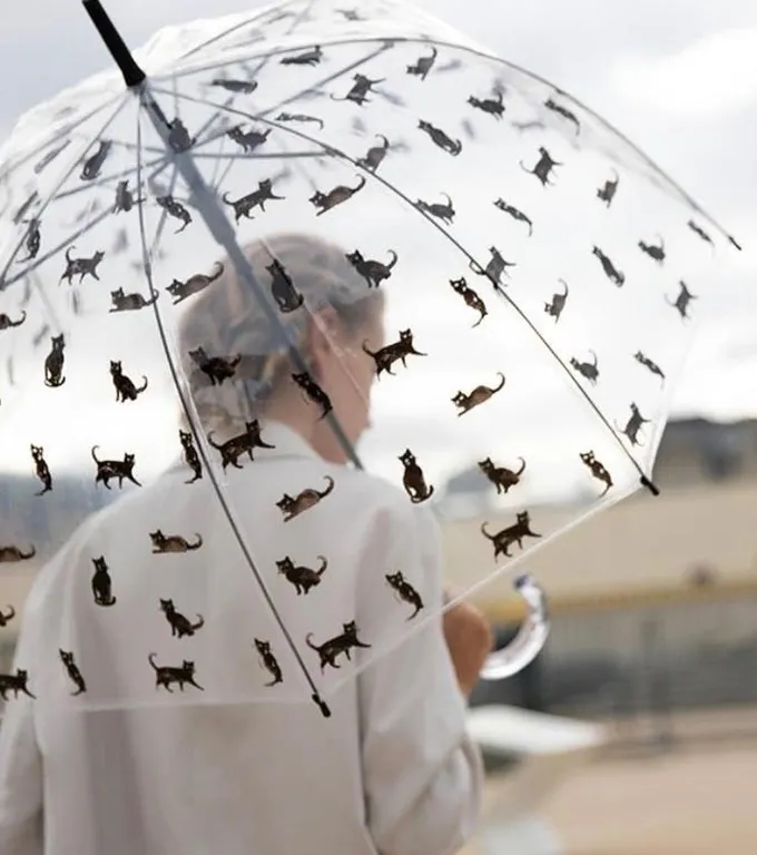 $30 SMATI Clear Dome Dome Stick Umbrella