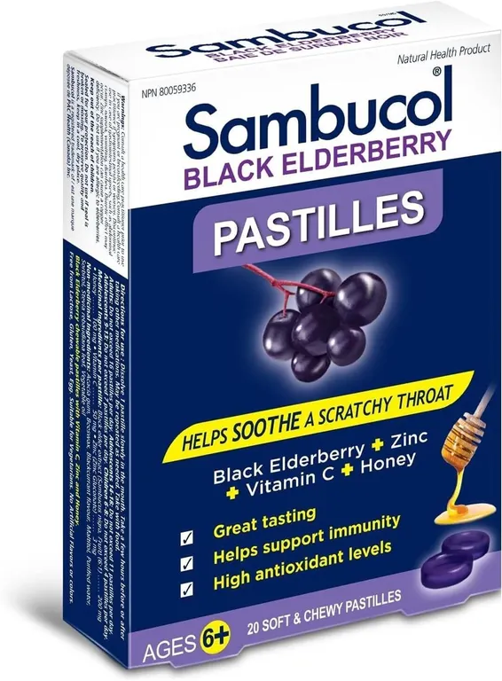 NEW 20PK Black Elderberry Pastilles Lozenges