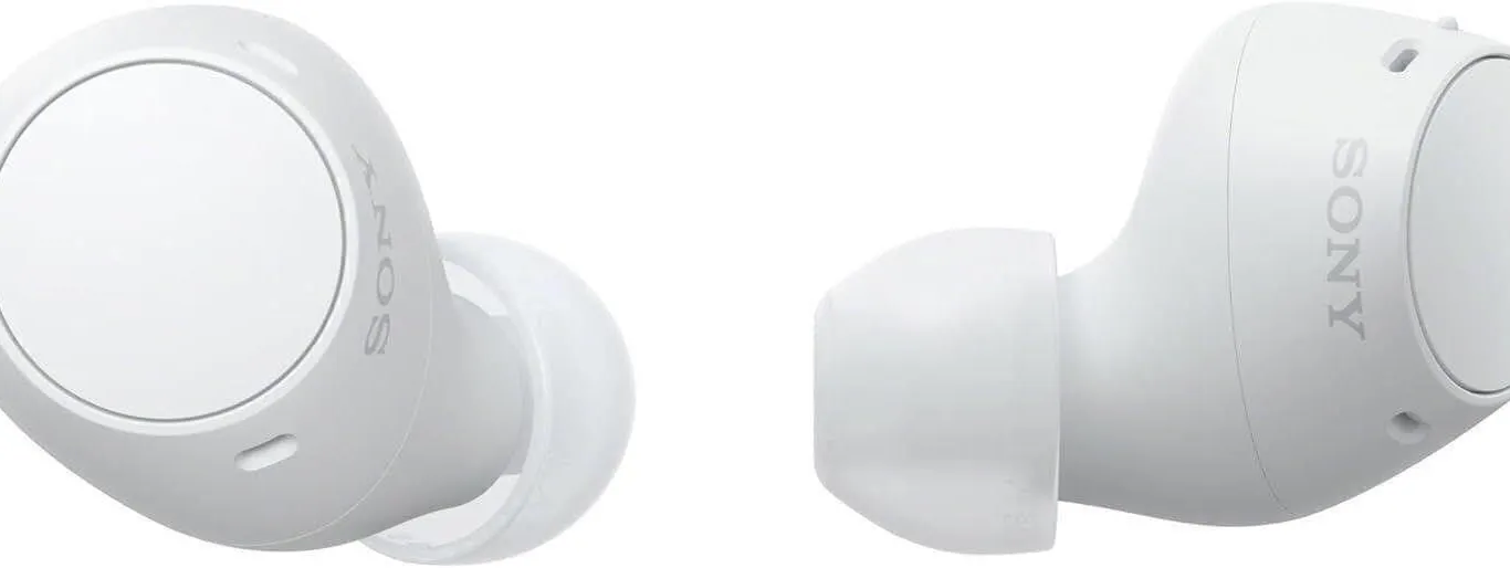 USED $100 Sony Wireless Bluetooth Earbuds w/Case