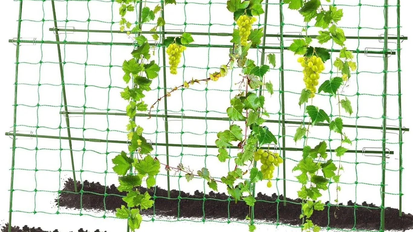 NEW $50 Garden Arch Trellis For Climbing Plants