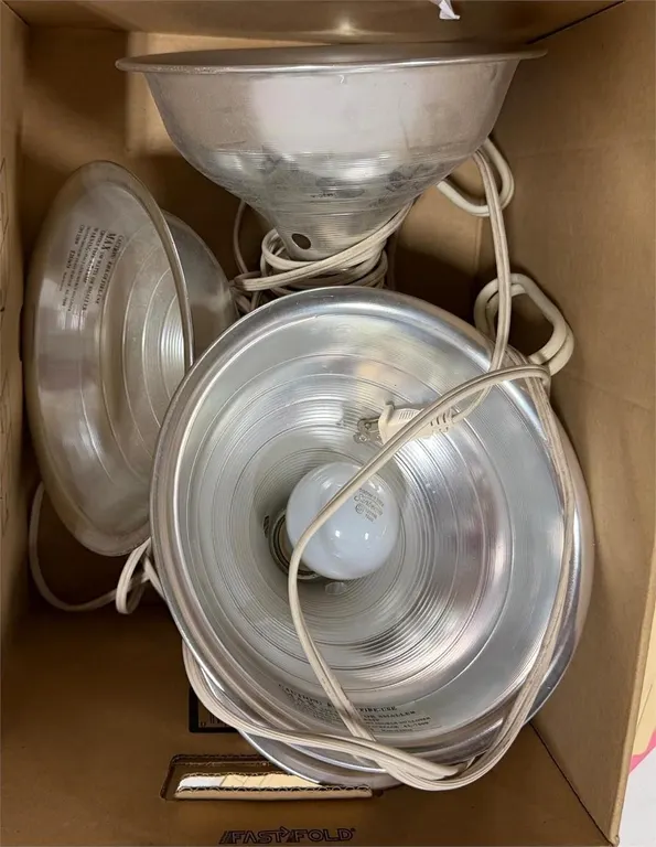 4 pk Hanging Lights