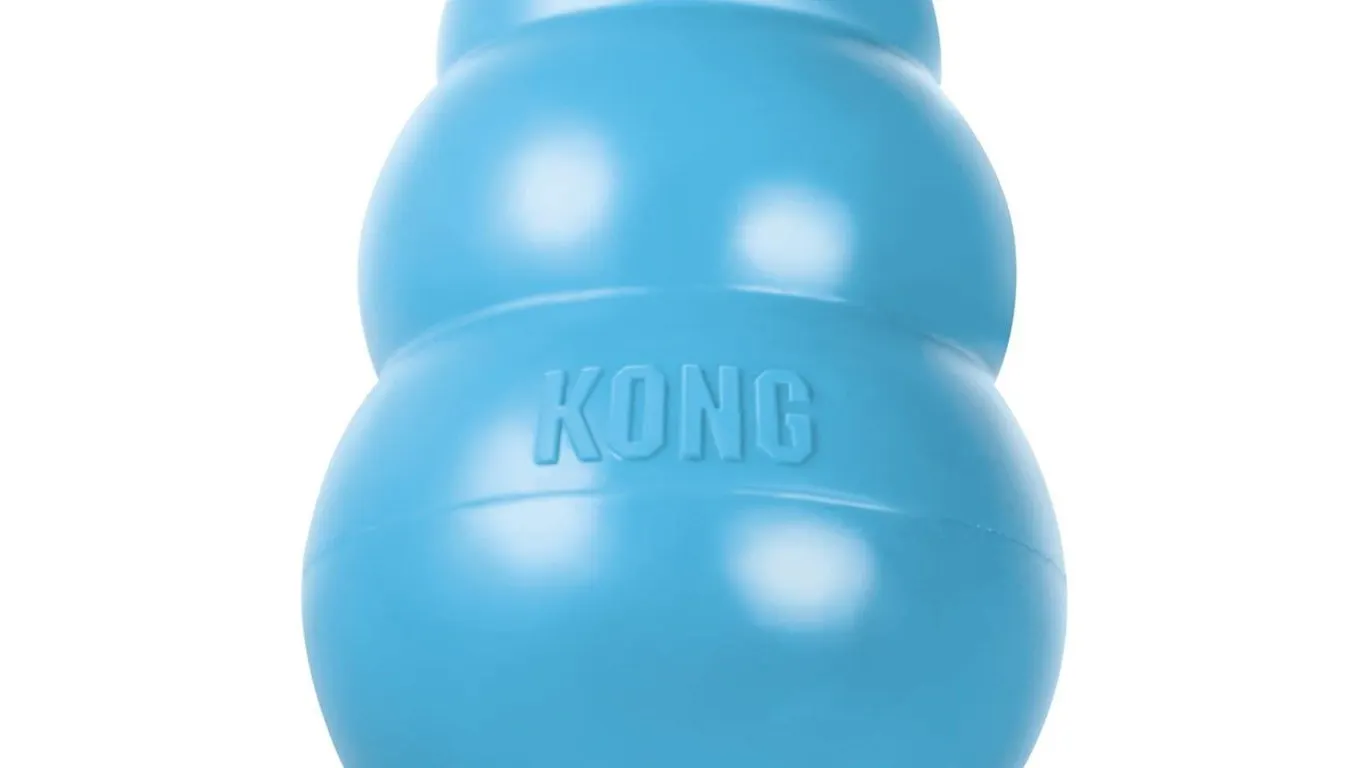 Kong Puppy Natural Rubber Chew Toy Medium Blue