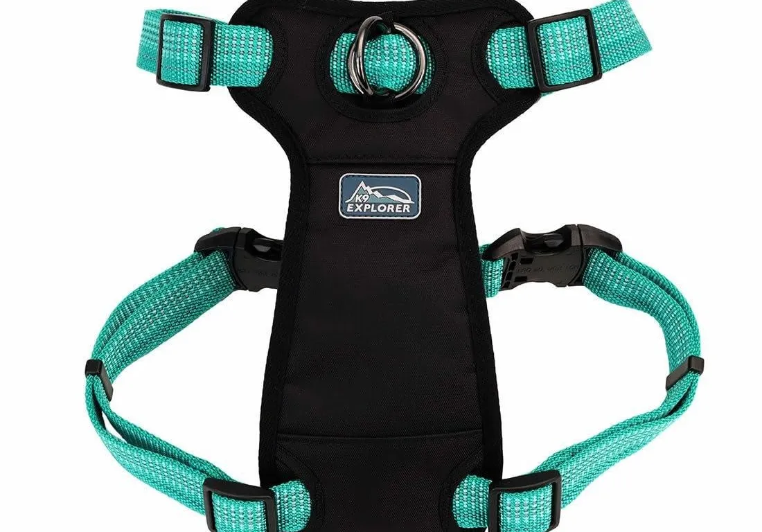 Coastal K-9 Explorer Reflective Harness 12-18
