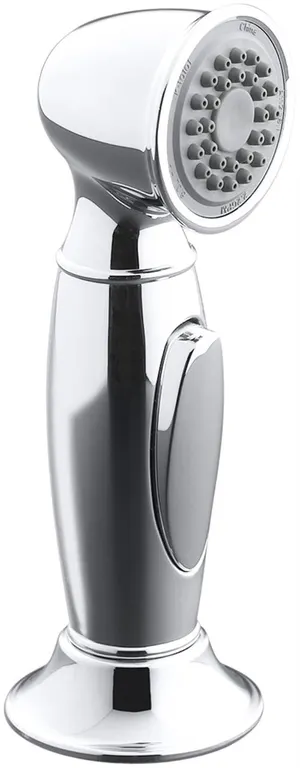 Kohler K-10101-CP Accent Sidespray Faucet