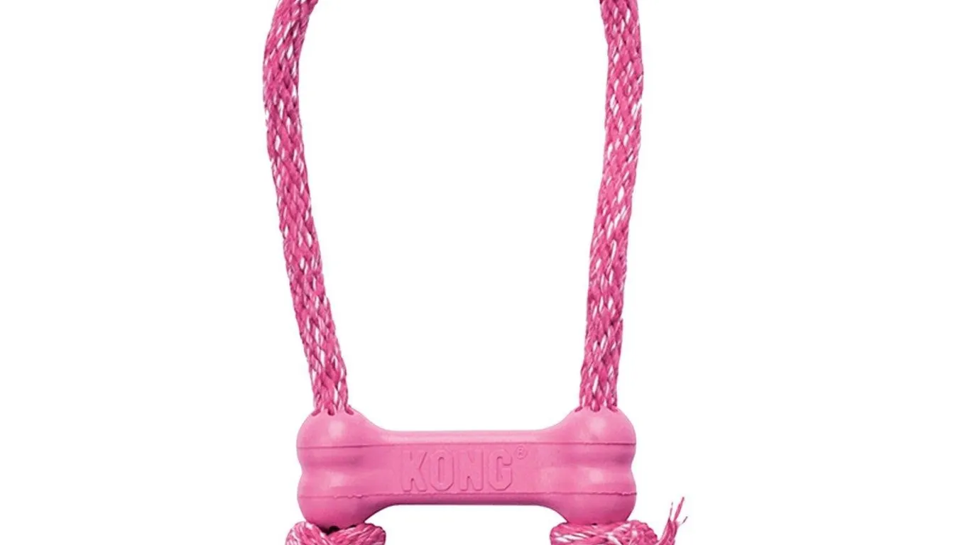 KONG Puppy Goodie Bone with Rope Pink XS