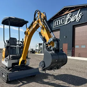 SDLE18P Mini Excavator