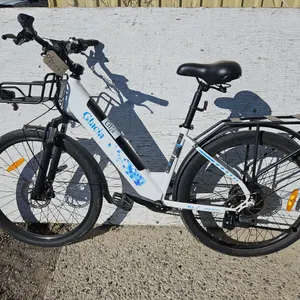 Gyrocopters Glacia E-Bike - Qty 1 *No Cord, No Key, Lock Damaged*