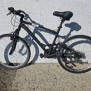 Painted Black Bike - Qty 1