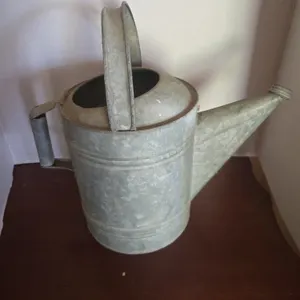 Vintage galvanized water and can