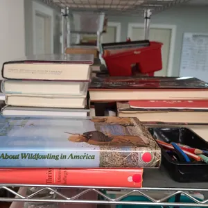 Book and Tool Collection from Fifth Shelf from the Bottom Including Baking, History, Science Themes