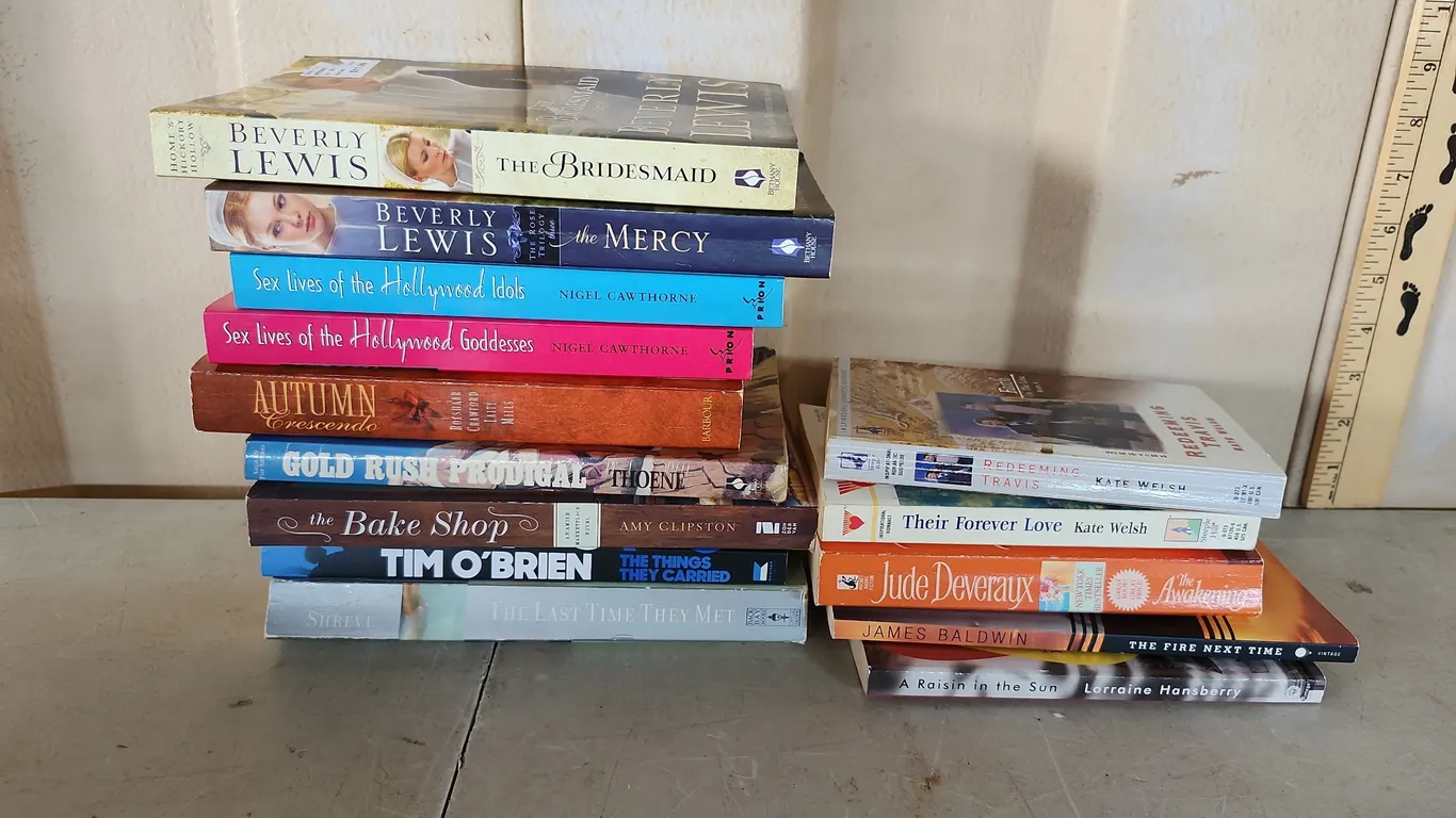Assorted Paperback Books-Sex Lives In Hollywood, Novels, Etc.