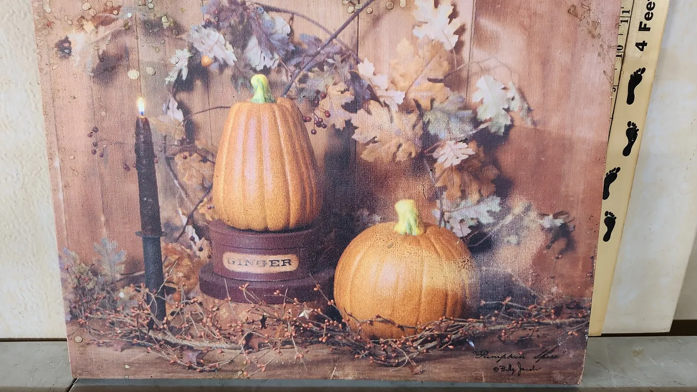Billy Jacobs "Pumpkin Spice" Canvas Print 16"X12" Missing Battery Pack