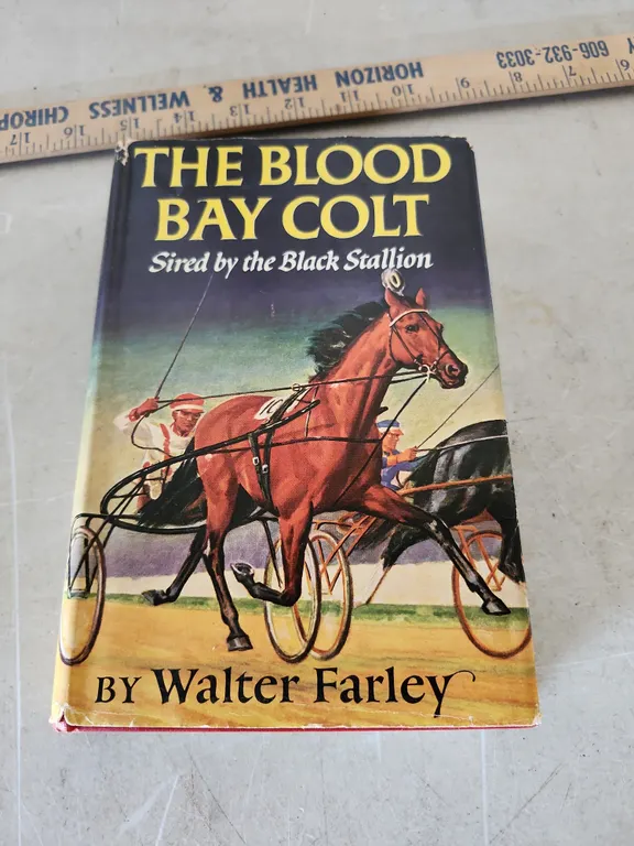 1950 The Blood Bay Colt Sired By The Black Stallion By Walter Farley Hardback Book