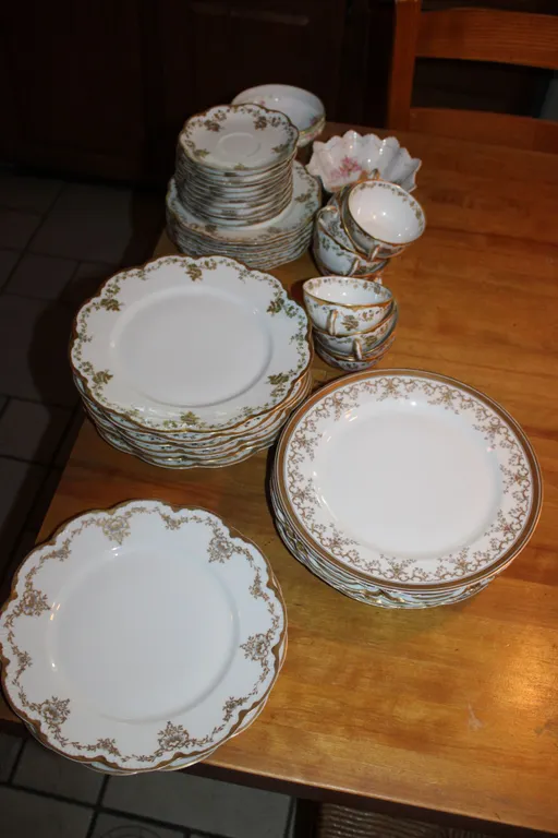 Haviland Limoges China