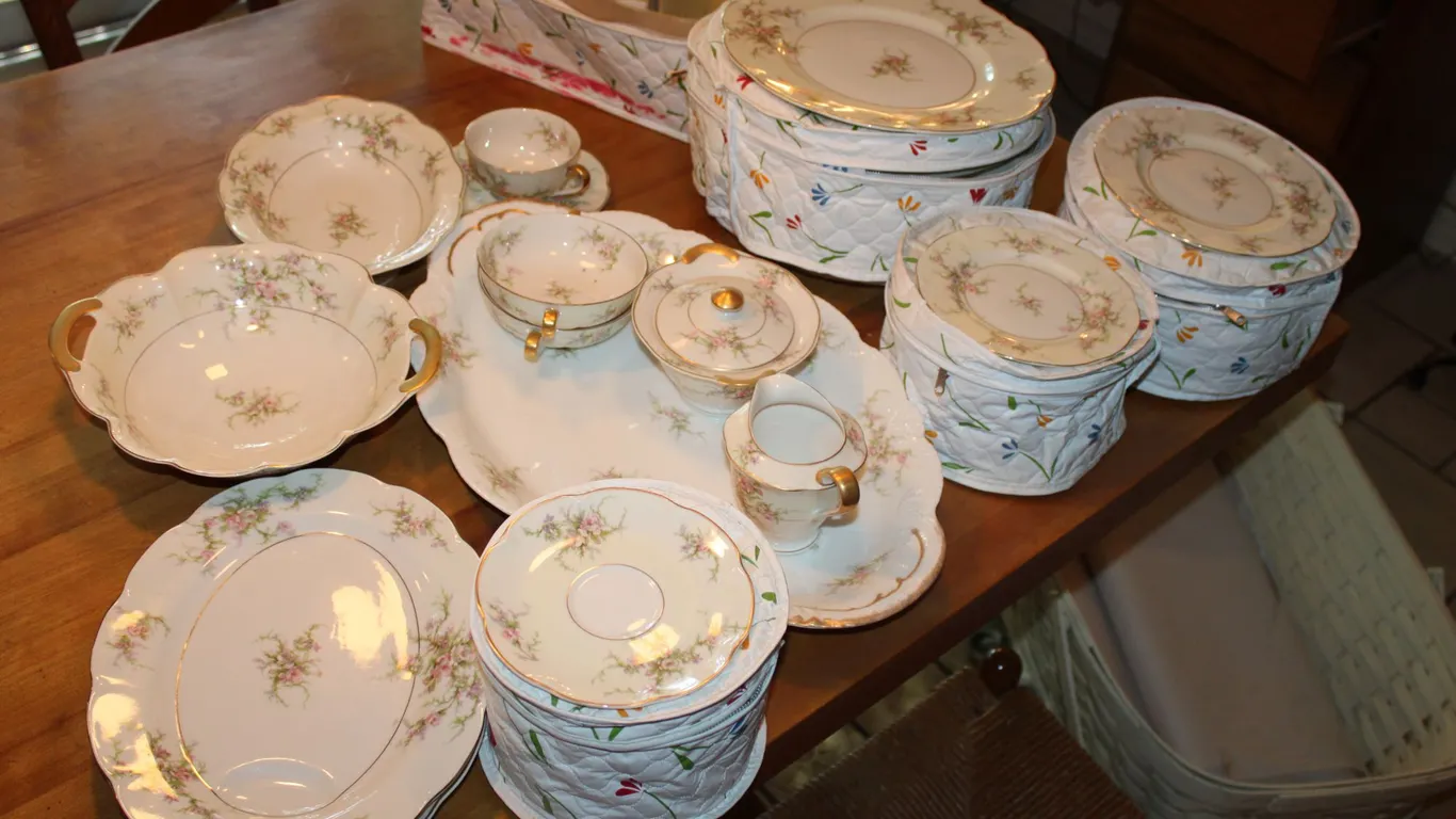 Theodore Haviland Rosalinde China Dinnerware
