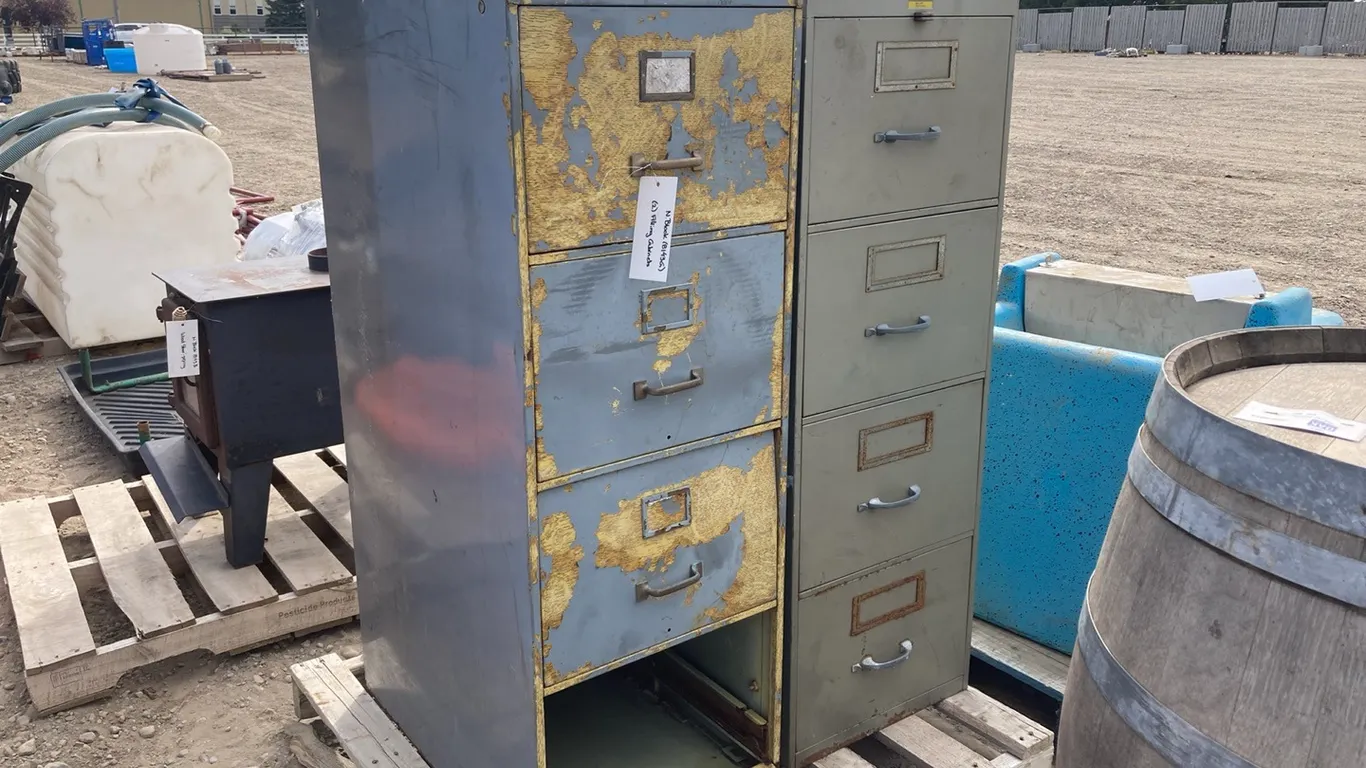 (2) Filling Cabinets