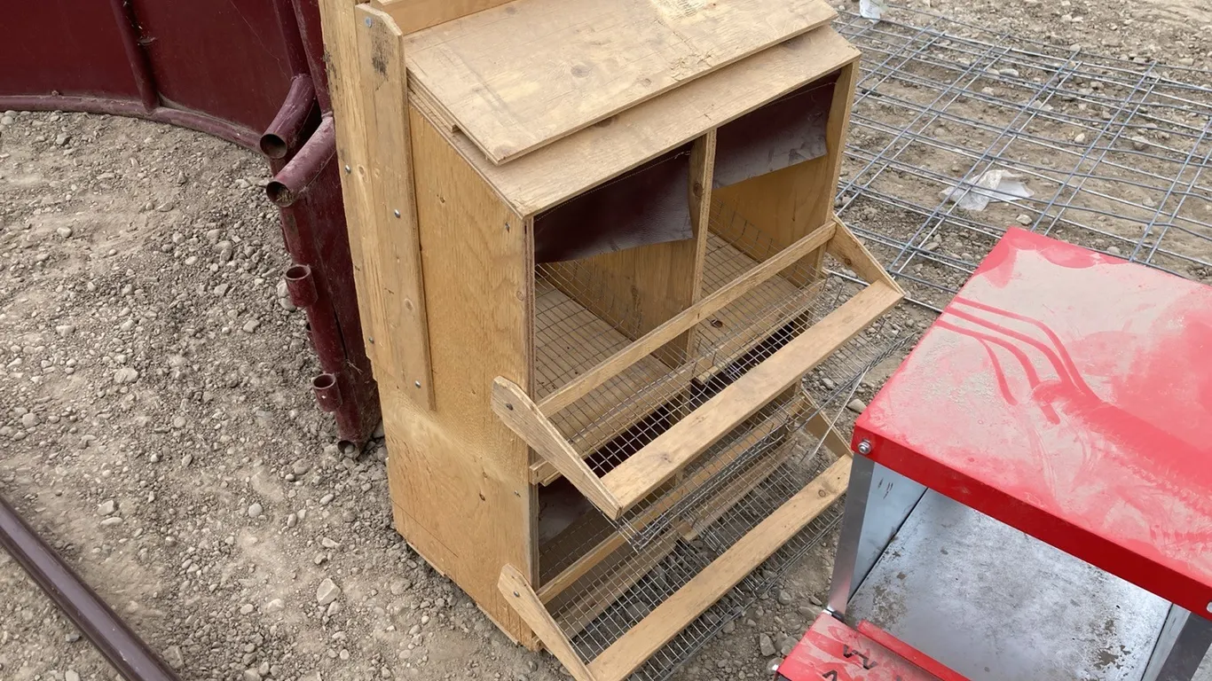 (4) Unit Backyard Laying Station