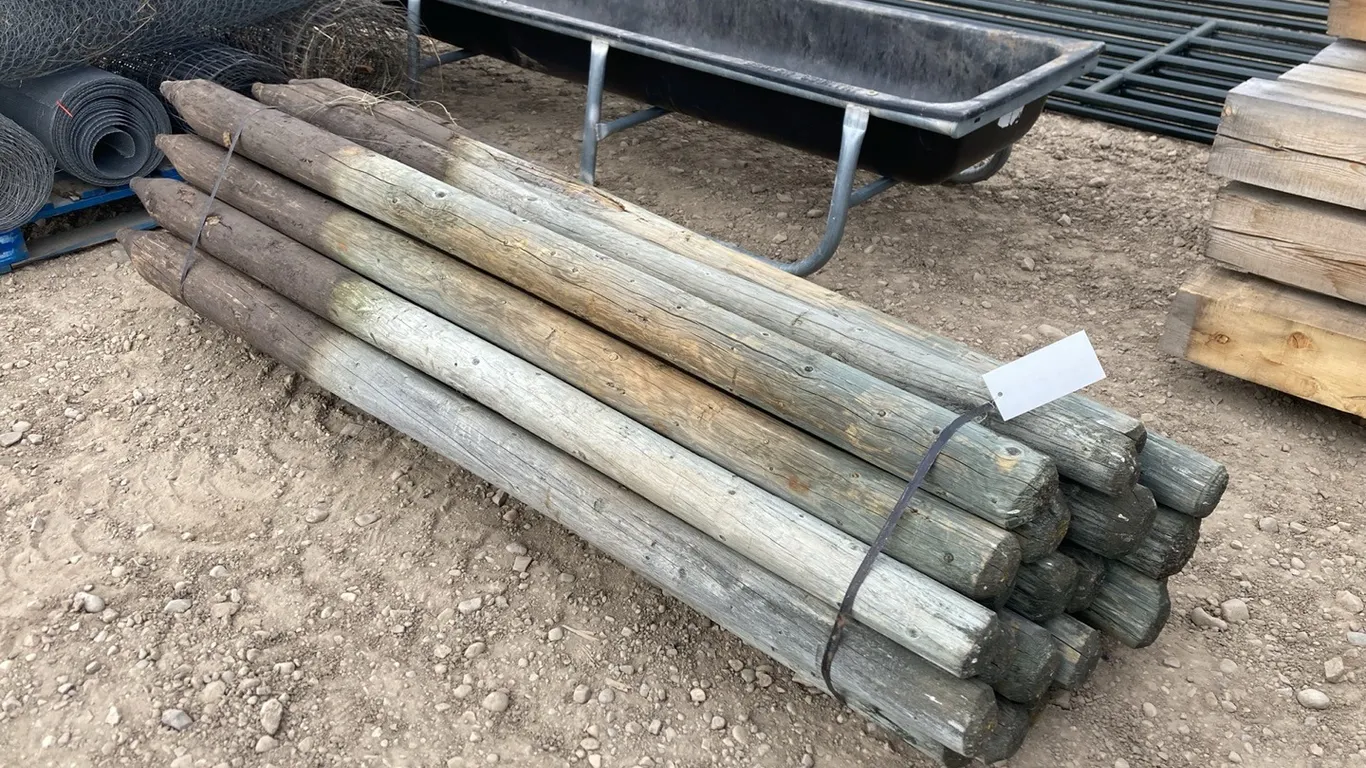 (25) Bundle Posts