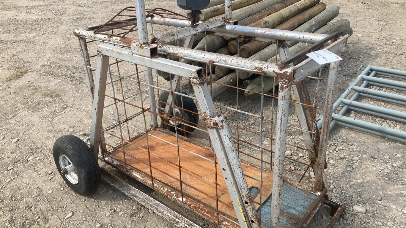 Scale for Sheep or Goats