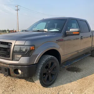 2013 Ford F-150 FX4 Truck  VIN:  1FTFW1ET7DFC30302