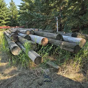 Assorted Telephone Posts
 UNRESERVED