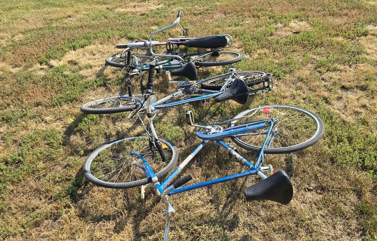 Assorted Adult Bicycles
UNRESERVED