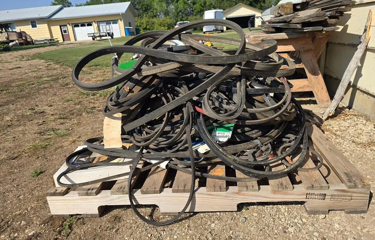 Assorted V-Belts and Cogged Drive Belts
UNRESERVED