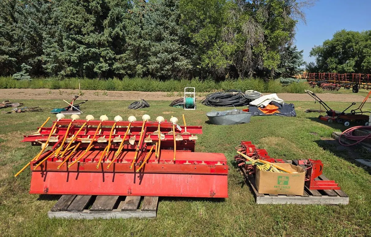 Beline Planter Assembly
UNRESERVED