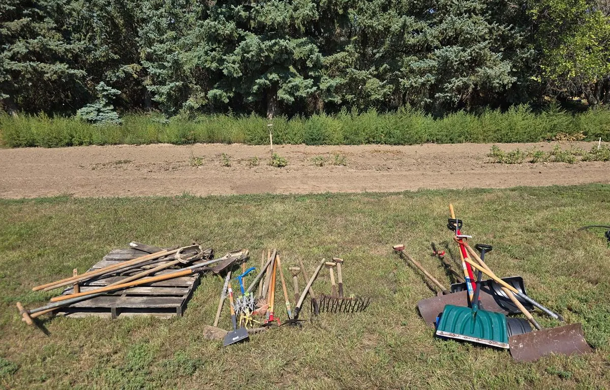 Assorted Hand Tools and Shovels
UNRESERVED
