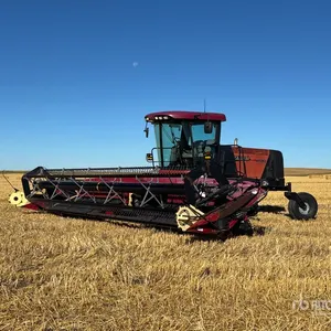 2010 Case IH WD1203 30 ft Swather Windrower