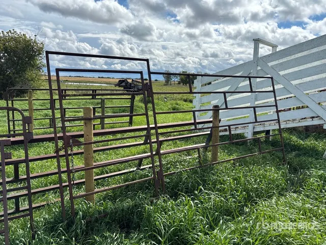 12 ft x 6 ft Steel Walk In Livestock Gate