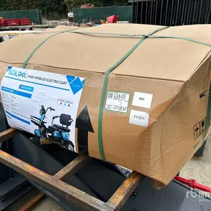 2026 SDLOOL SL-D3 Electric Trike (Unused)