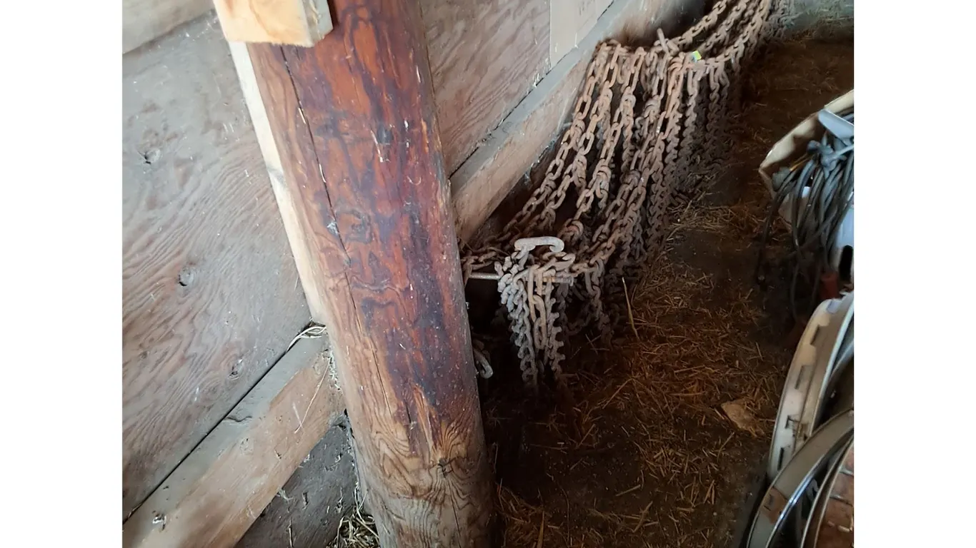 (5) Single Triggs Chains- Half Ton or Bobcat
