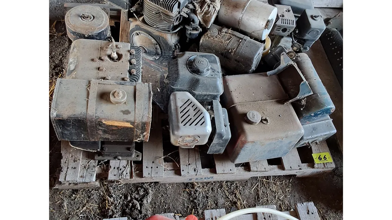 Briggs and Stratton Gas Motors